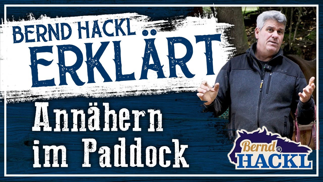 Annähern im Paddock | Bernd Hackl erklärt! 🐴