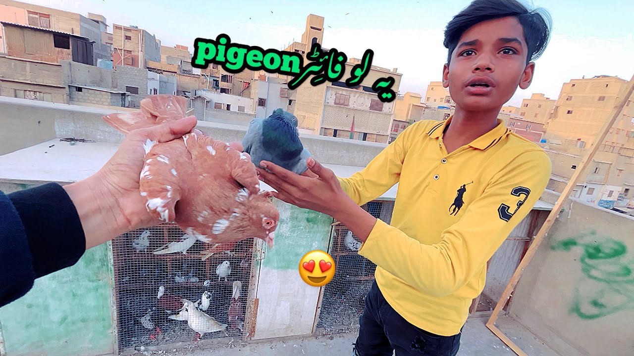 Ye Lo Lada Do Ajj To 🤩