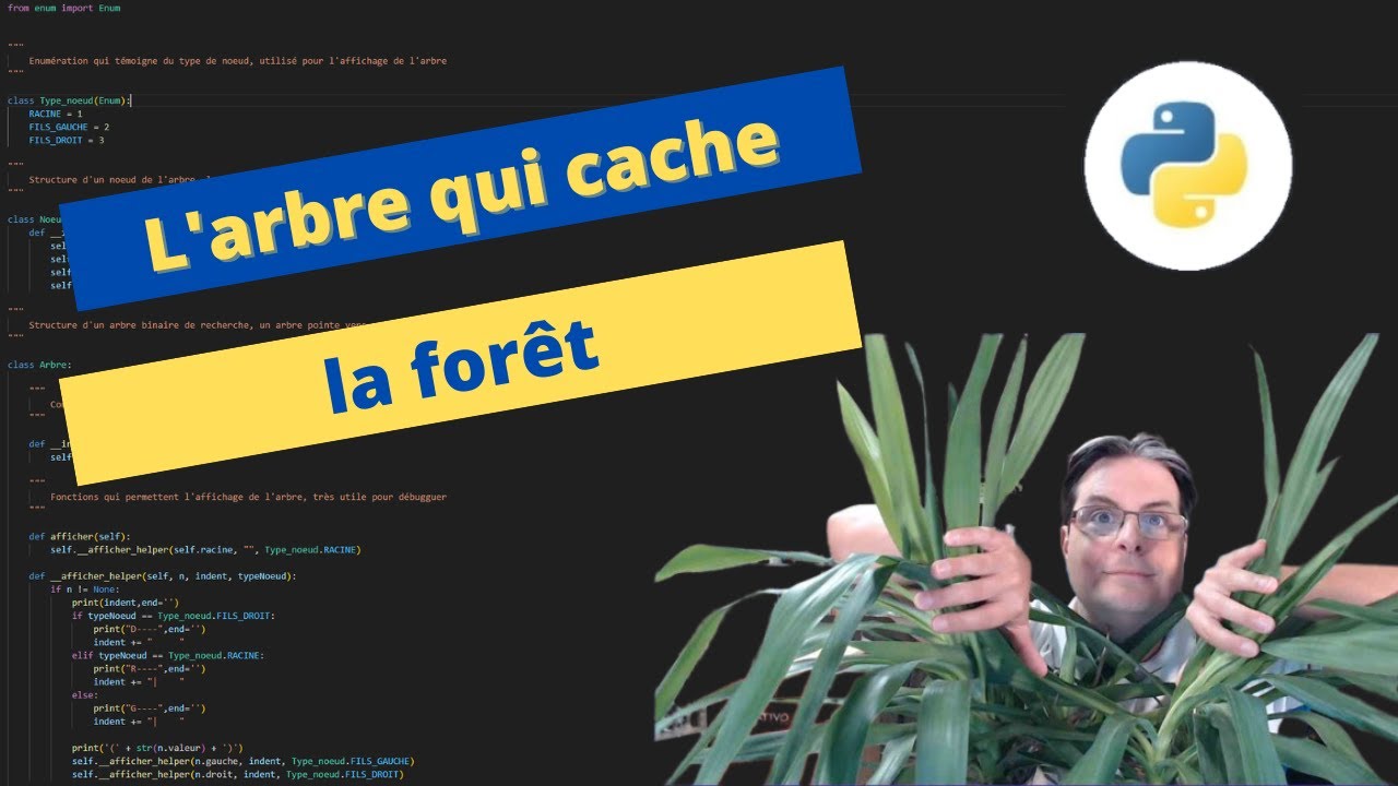Mémoire et structure : Arbres binaires de recherche