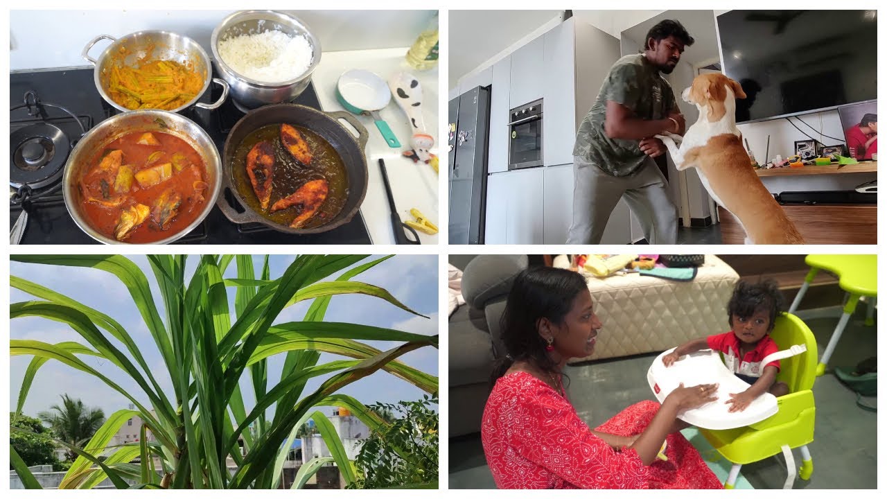 Chikoo's conversation with Tintu/Morning to night routine/Seafood lunch menu/cast iron seasoning