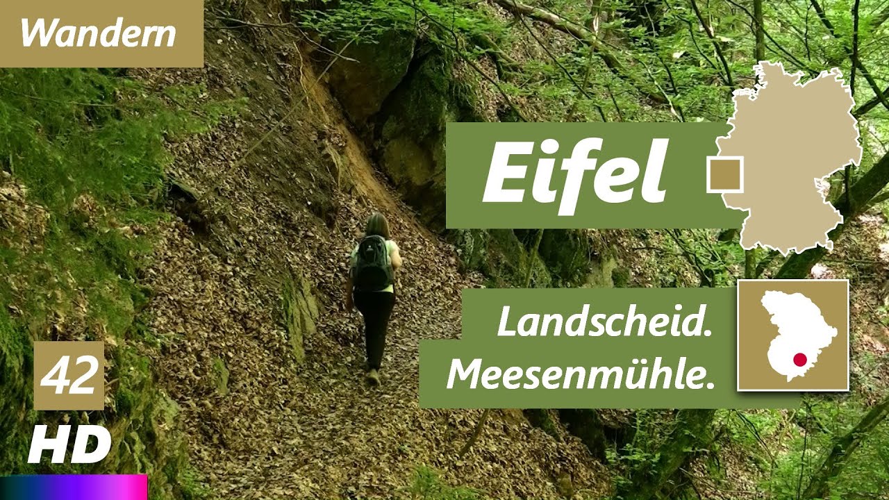Eifel | Landscheid - Meesenmühle | Genusswandern | Eifelsteig