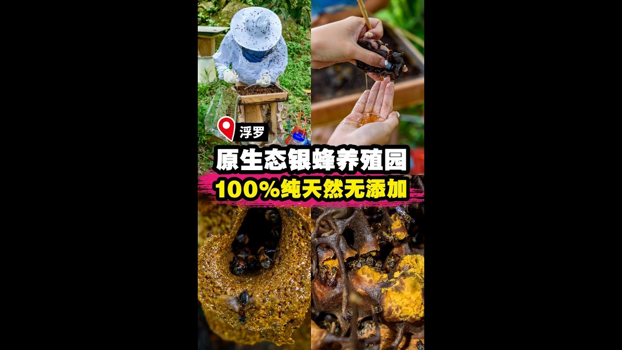 【浮罗山背原生态银蜂养殖园🐝 100%纯天然无添加银蜂蜜🍯🌿】|槟城好料