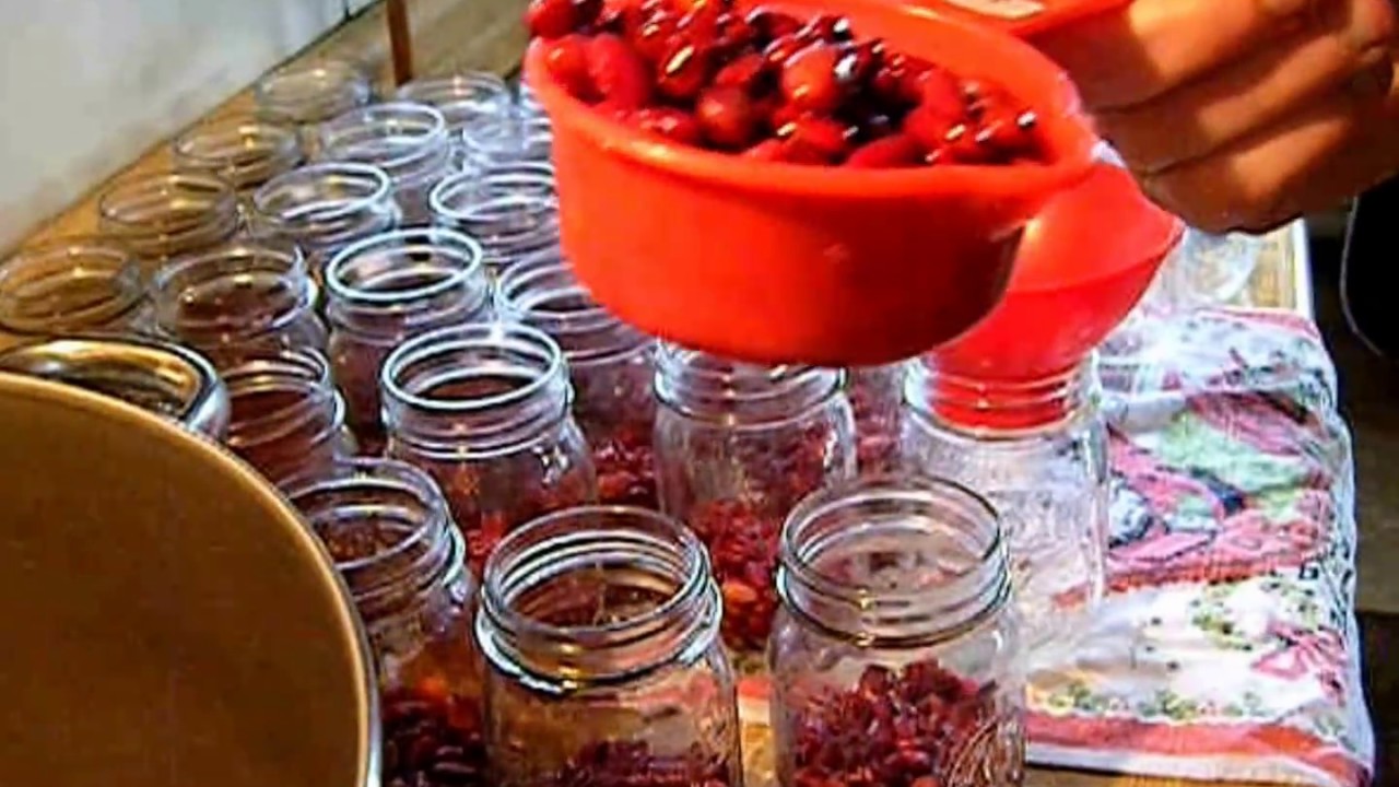 How To Can - Kidney Beans  NO SOAK METHOD by homestead tessie