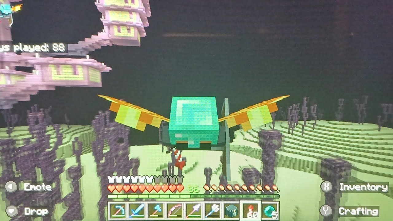 Jayden Successively got the Elytra