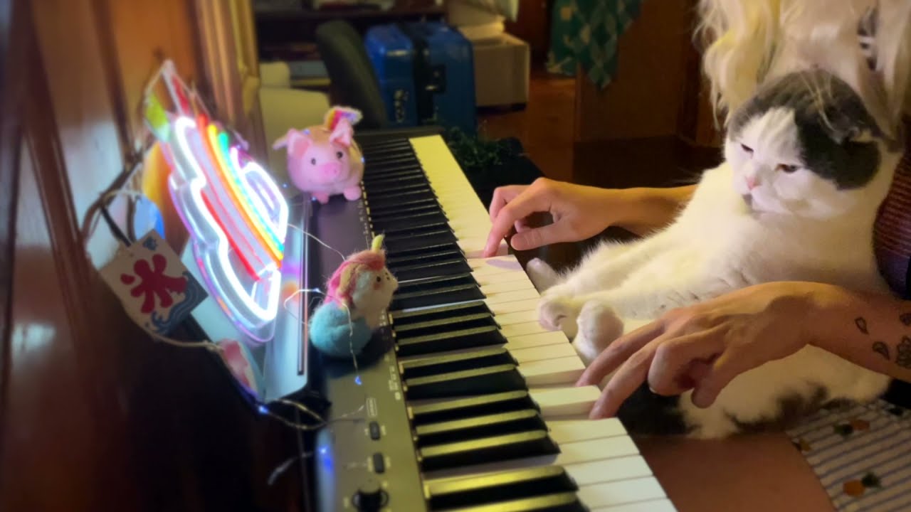 Meemersworth the Cat ☆ on King Kogi Radio
