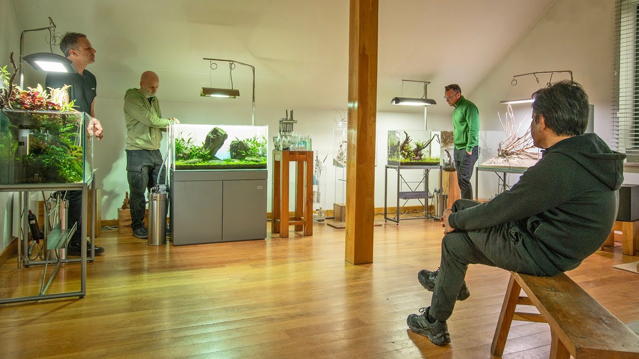 ADAM'S NATURE AQUARIUM GALLERY feat. Takayuki Fukada 🇯🇵