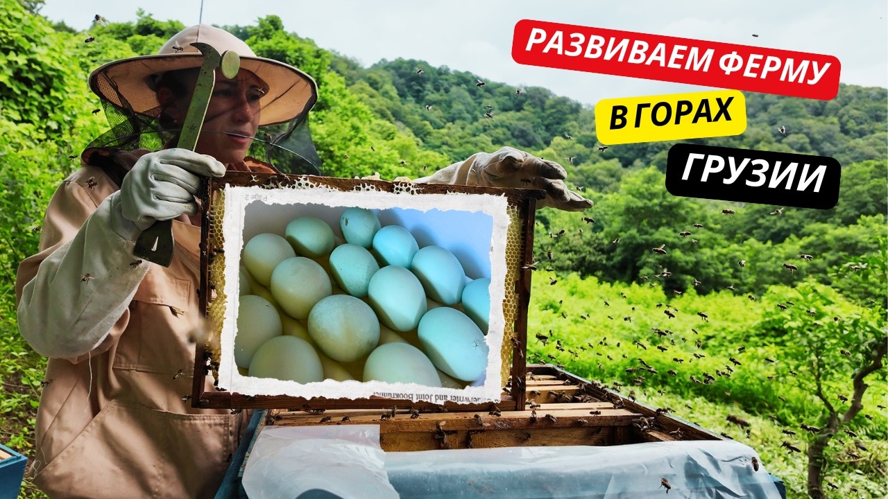 Developing a farm in the mountains of Georgia | 🐣 BLUE EGGS, chestnut honey and BIG MOWING