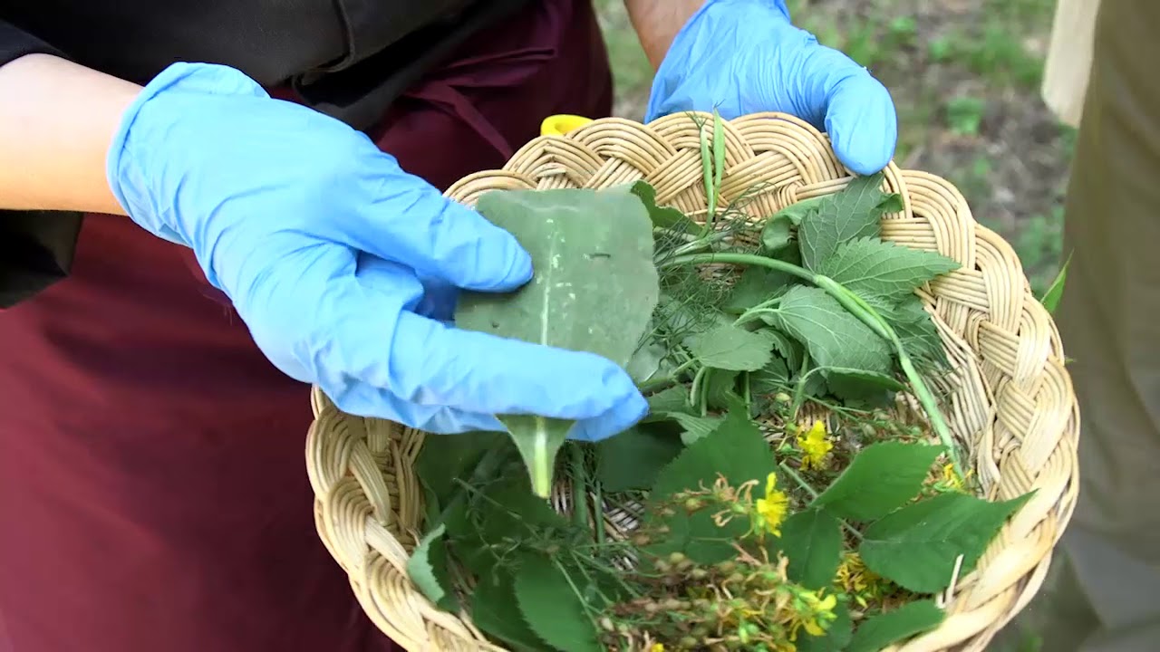 Sapori Dimenticati - Alla scoperta di sapori e lavorazioni tradizionali