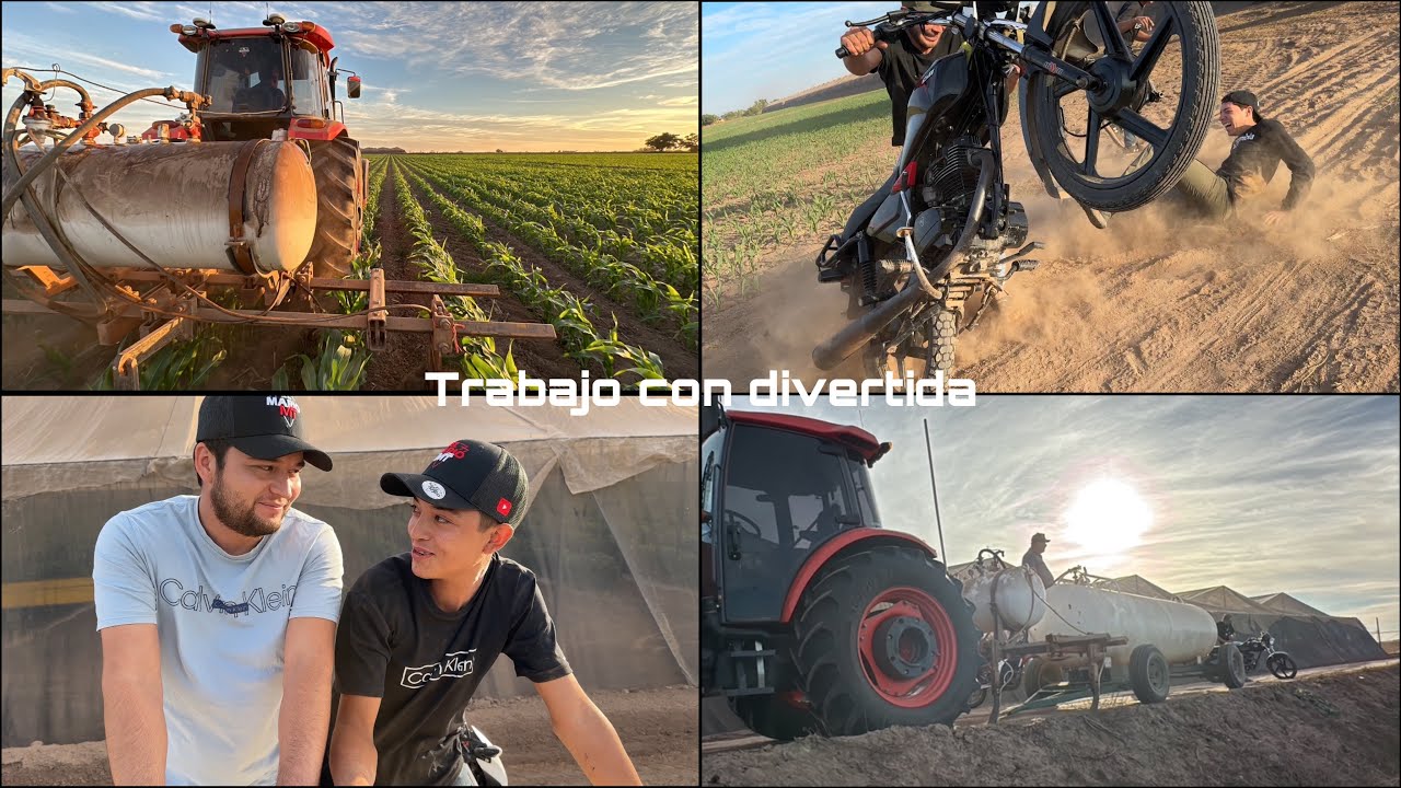 ASÍ FERTILIZAMOS EL MAÍZ Y LES MUSTRO COMO VA LA CALABAZA‼️ UN RATO DE DIVERCION 😂