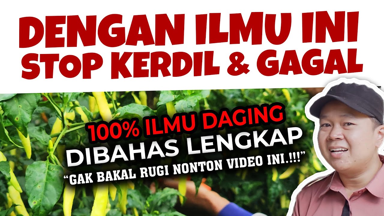 STOP KERDIL & GAGAL.❗❗❗ PAHAMI ILMU INI AGAR TANAMAN SELALU SUBUR, SEHAT DAN BERBUAH LEBAT