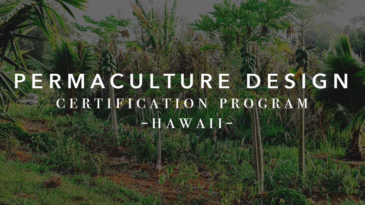 Permaculture Design Course - Big Island Farms