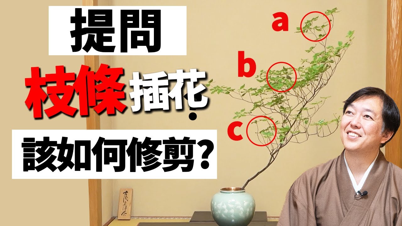 【提問】該剪掉哪一支？
