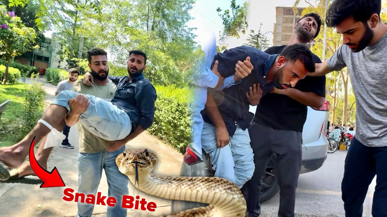 Turab Ko Snake Ny Kaat Lia Tbyat khrab ho Gyi 😢