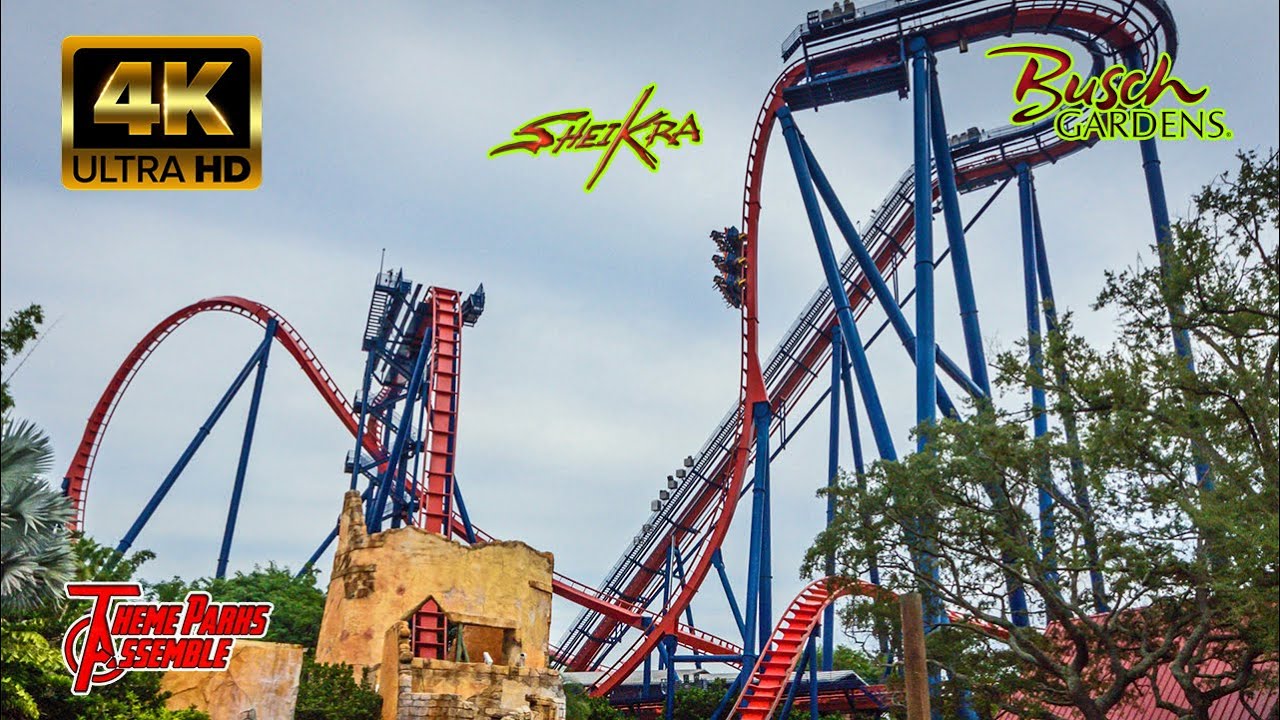 Sheikra Ride Upscaled in 4K From Stream - Busch Gardens Tampa, FL - July 2024