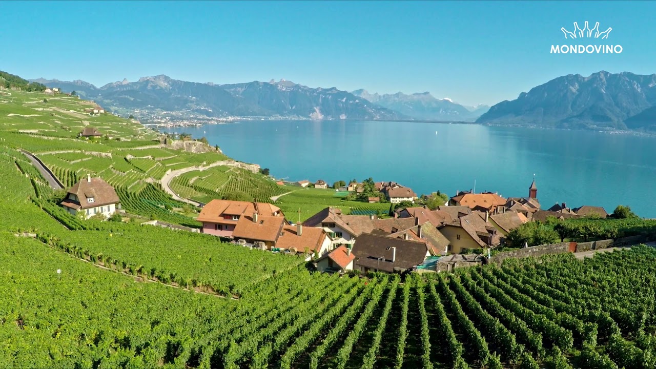 Découvrez avec nous la région viticole Vaud