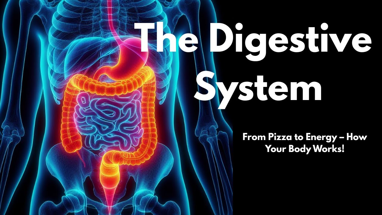 What Happens After You Eat? 🍕 Human Digestive System Explained | Class 10 Biology | Life Processes