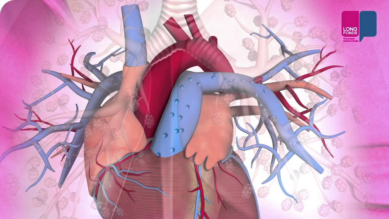 ماذا يحدث في الرئتين مع الانسداد الرئوي