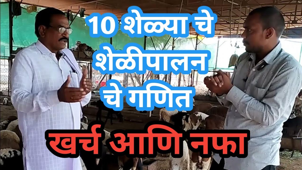 10 शेळ्या पासून असे सुरू करा शेळीपालन सहा महिन्यांत खर्च नफा होईल !  शेळीपालन एक जबरदस्त व्यवसाय ।