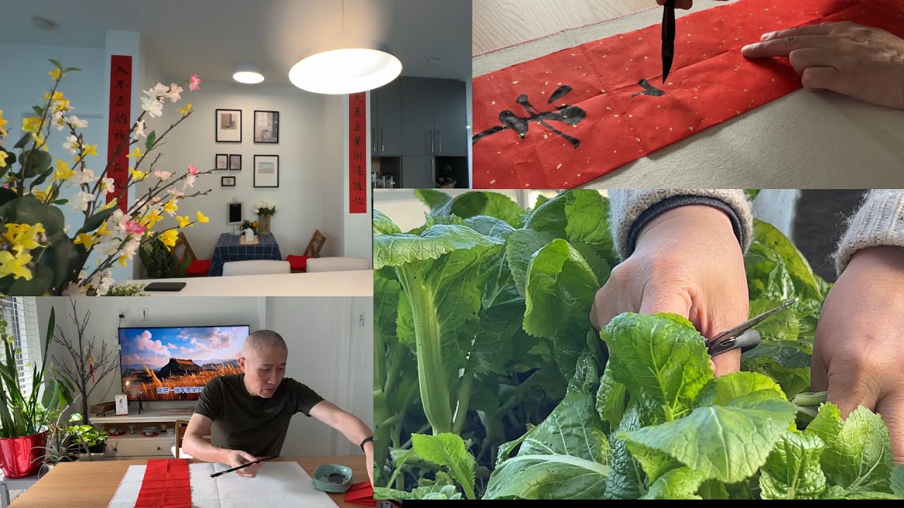 立春 楼顶收芥菜｜阿公写春联【Garden Time 田园生活分享】2026 2