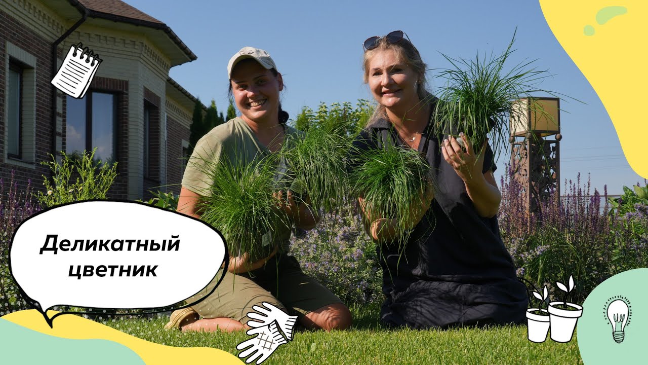 Цветник в саду | Как создать цветник в саду? | Шалфей | Котовник | Злаки