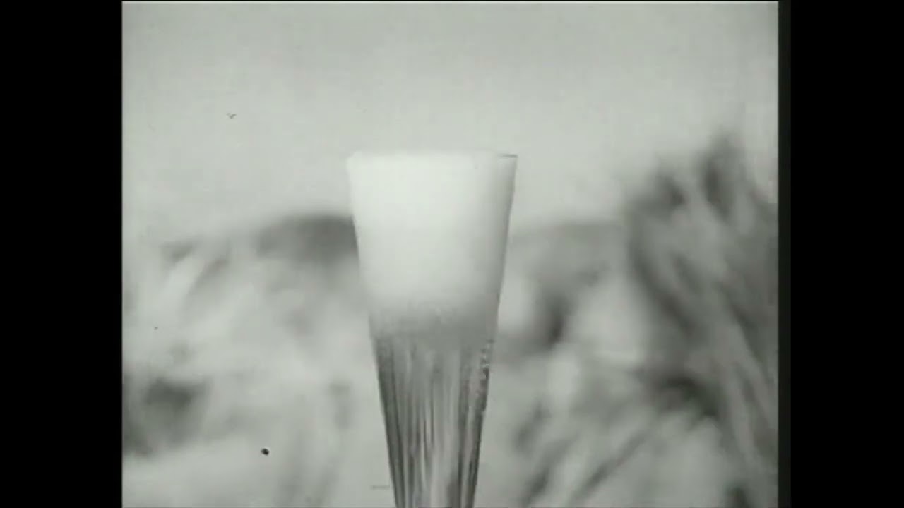 Retro Budweiser Beer Commercials 50s Where Theres Life Theres Bud Beach