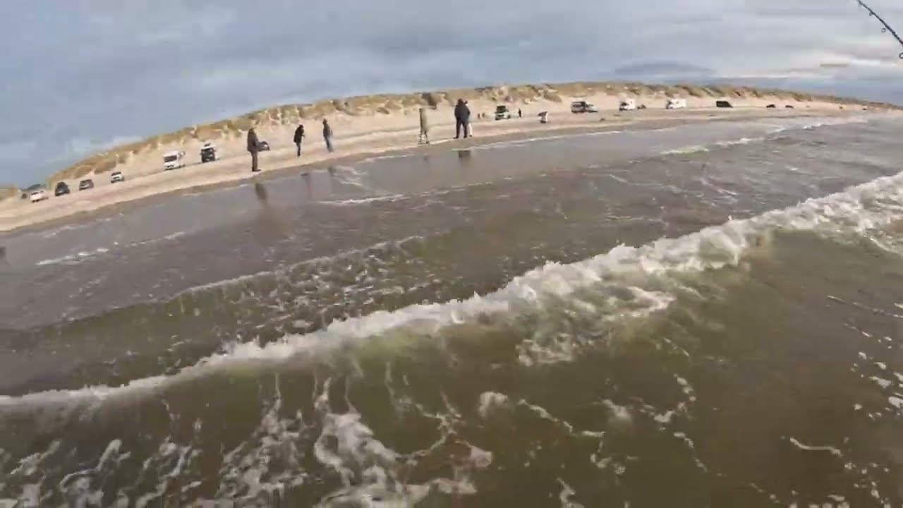 Steinbuttangeln live in Dänemark Vejers Strand🇩🇰