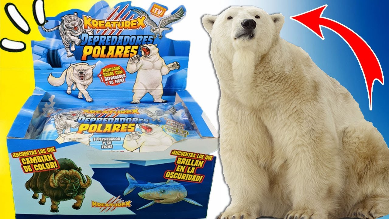 OSO POLAR, LOBO BLANCO ARTICO , BALLENA DE GROENLANDIA | GIGANTES DE LOS POLOS | ¡INCREIBLES!