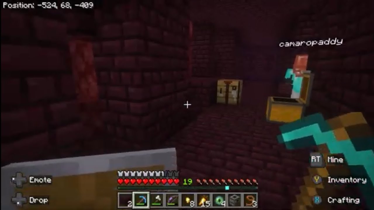 minecraft with bro 5