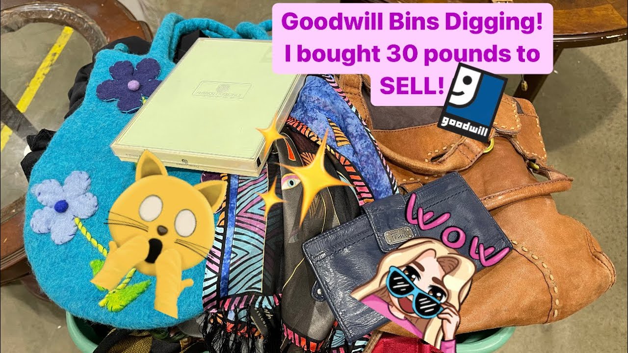 WOW! Let’s DIG at the GOODWILL BINS! Finding items to sell on EBay! I Bought Over 30 pounds!