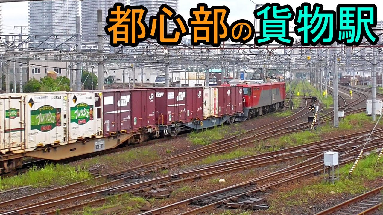 【入換の連続！】早朝の隅田川駅と貨物列車 Sumidagawa freight station