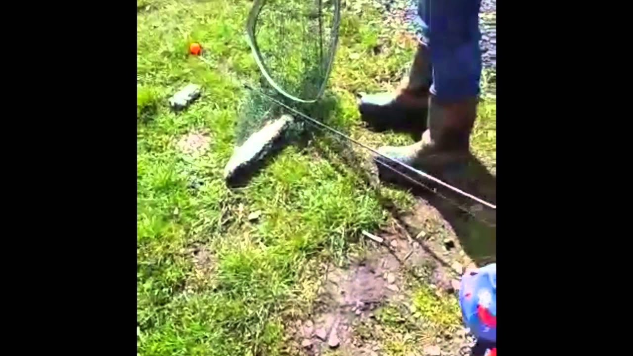 Easkey goes fishing