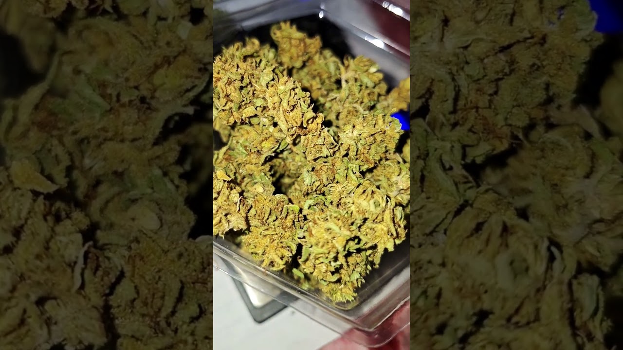 This is my medication #grow #420 #indoorplants #bobmarley #weed #buds #weedgram