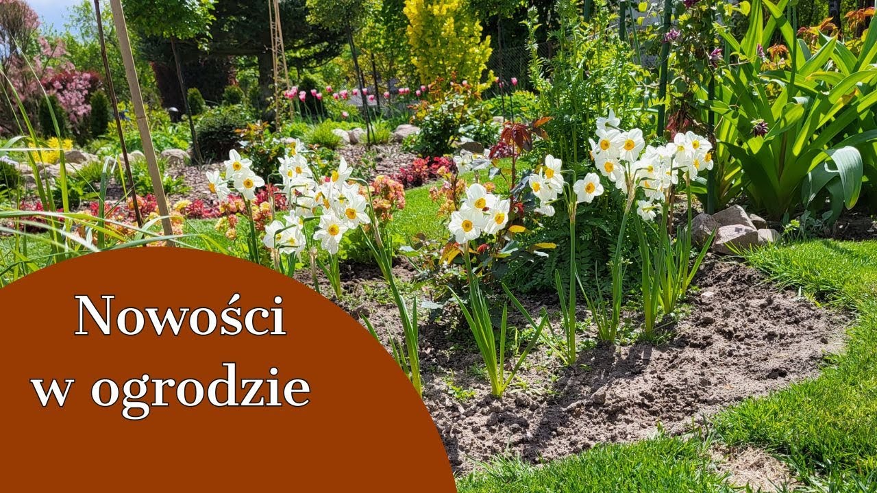 NOWOŚCI W OGRODZIE 😇 CIEKAWE ROŚLINY Z LISTY MARZEŃ