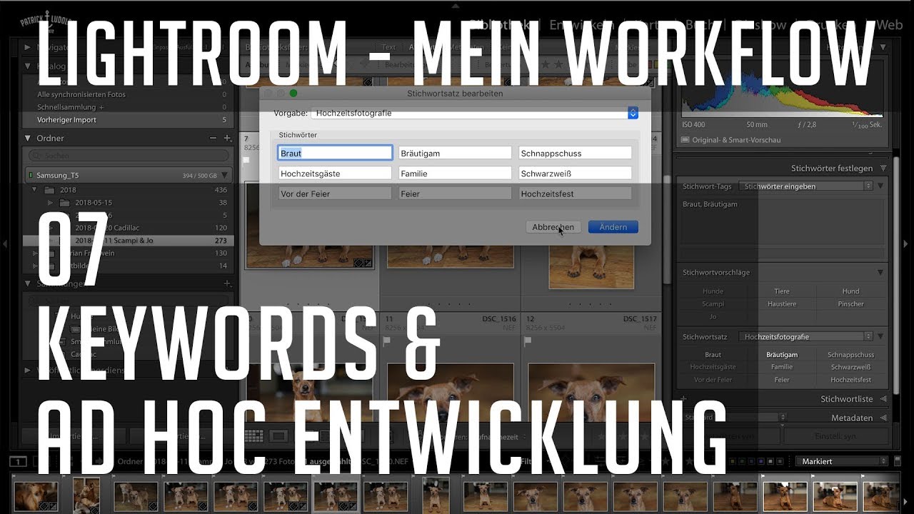 Lightroom - Mein Workflow / 07 Keywords und Ad Hoc Entwicklung