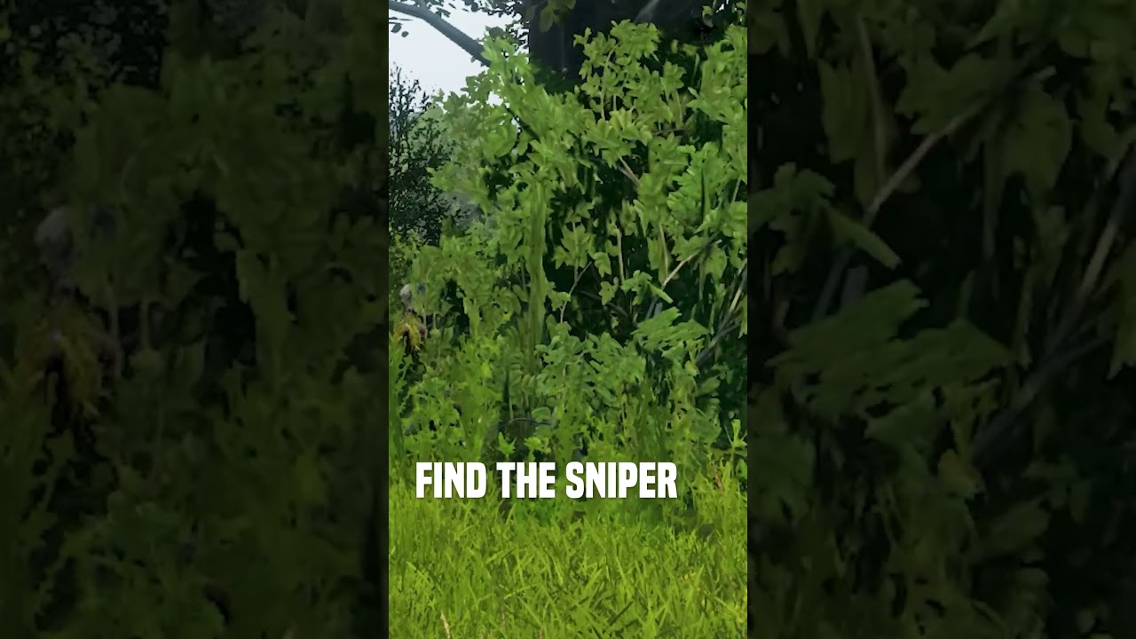 Why Camouflage is Overpowered in DayZ&hellip;