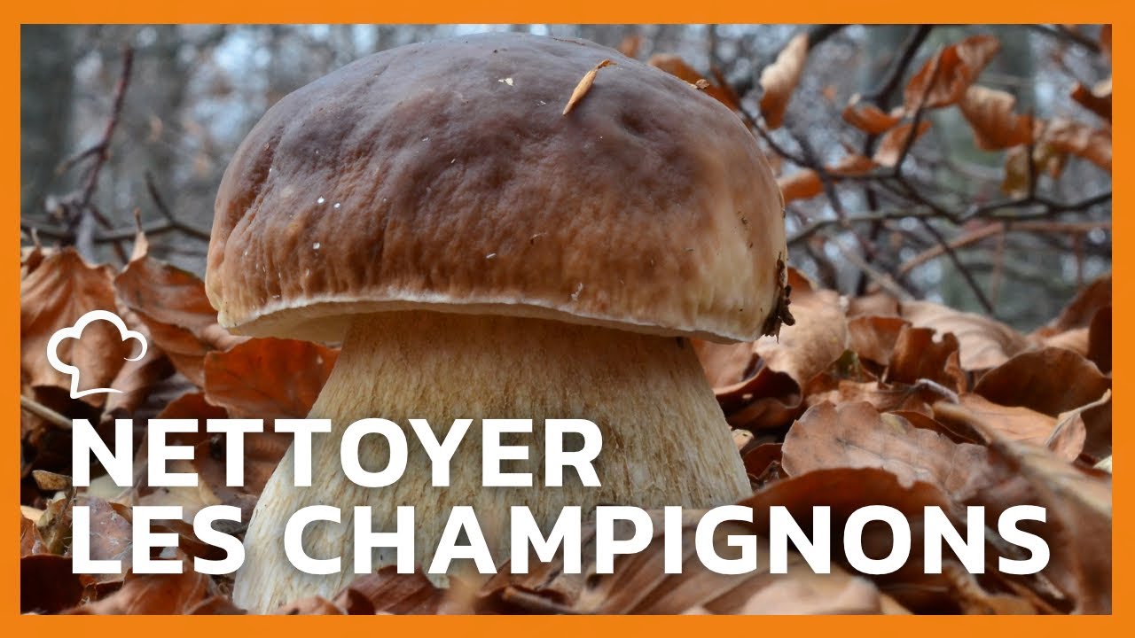 Comment nettoyer les champignons | Les Food'Cuisine