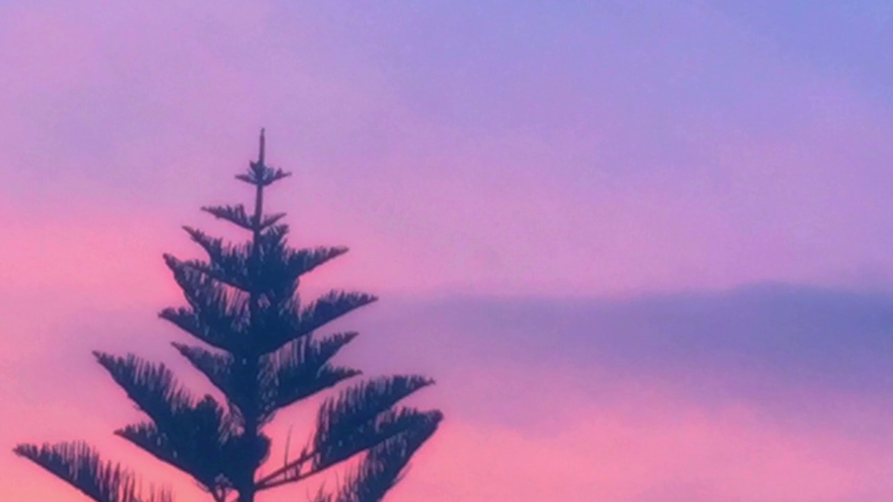 losol - Dawn