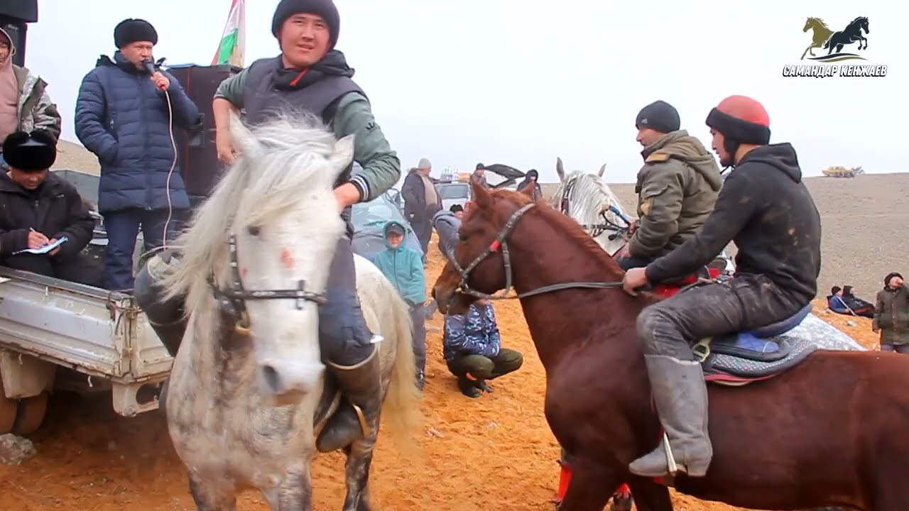 Бузкаши Теракли 12.02.2025