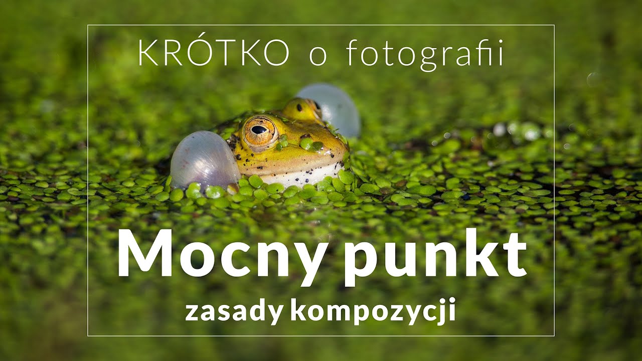 Mocny punkt - zasady kompozycji - KRÓTKO o fotografii