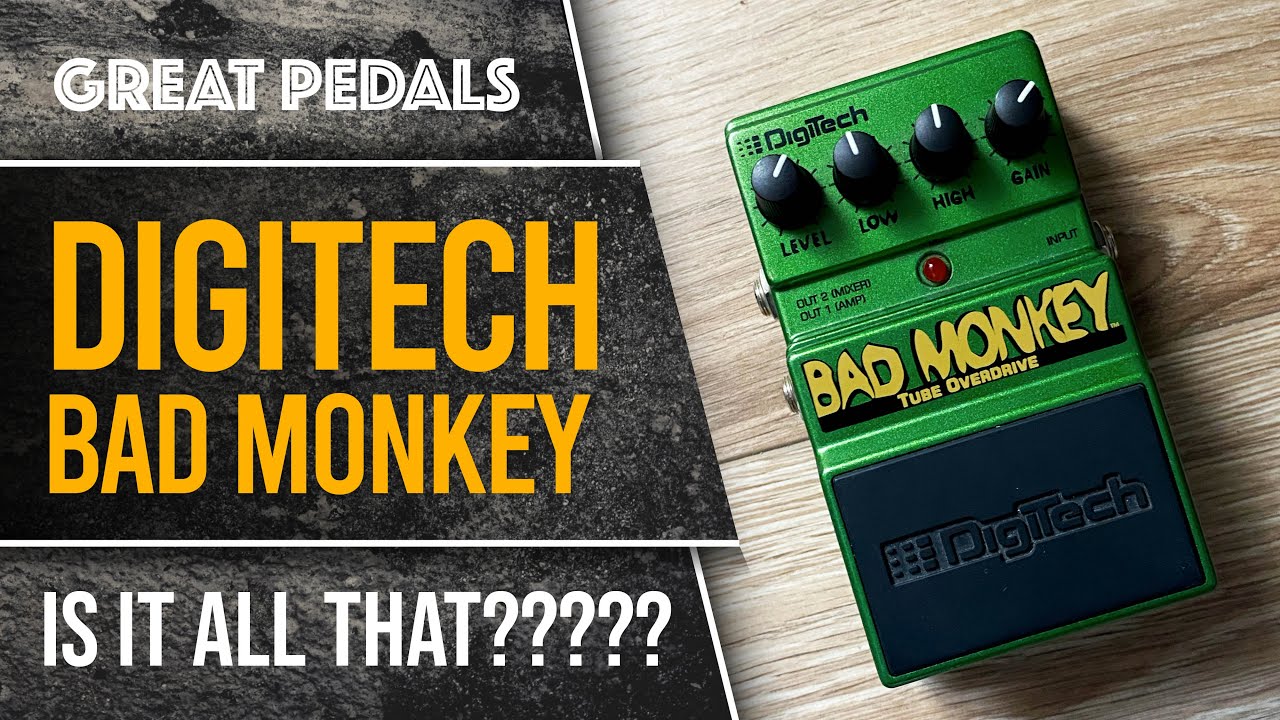 Digitech Bad Monkey. Неужели всё так просто?