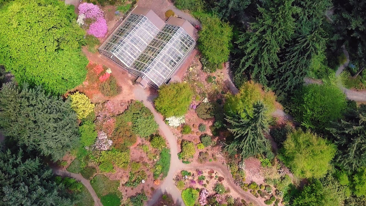 Rhododendron Species Botanical Garden - Federal Way, WA