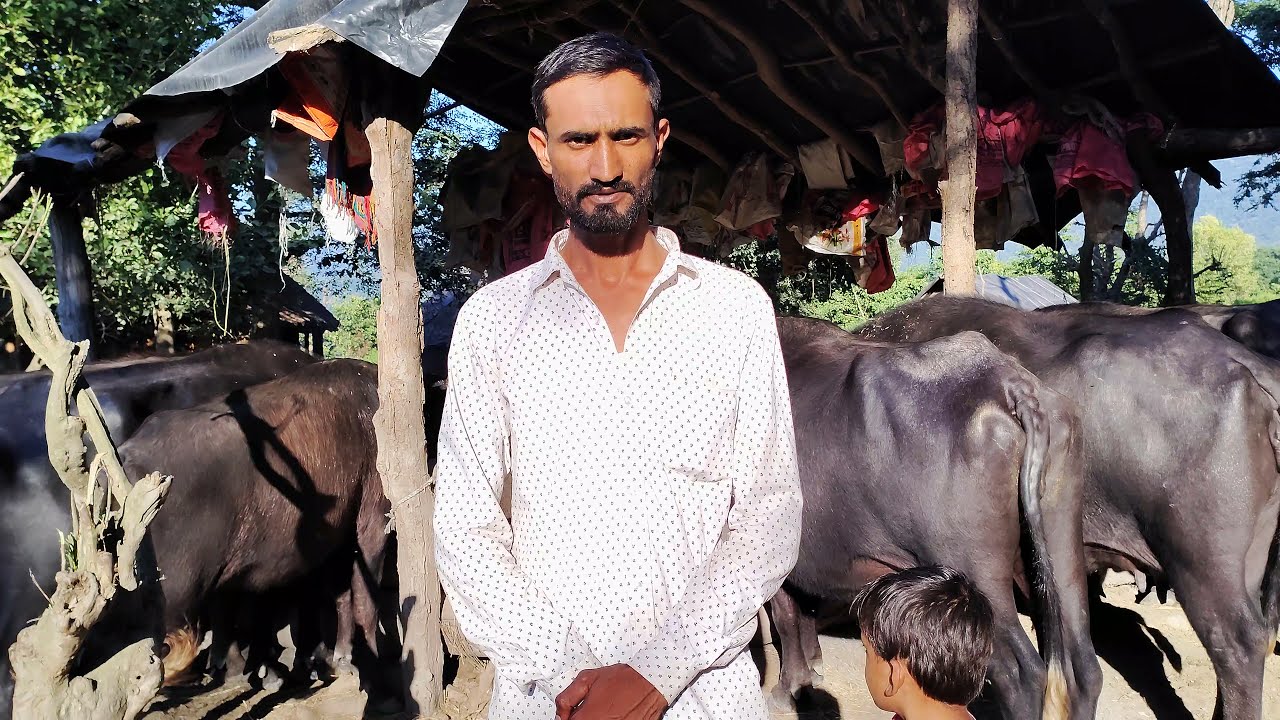 Pasture land development in Pauri Garhwal, Uttarakhand by Van Gujjar Tribal Yuva Sanghatan.