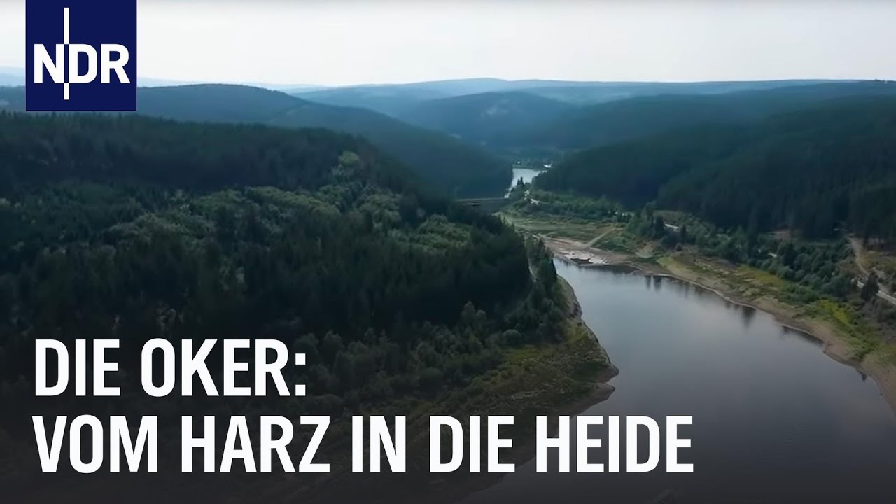 Die Oker: Wilder Strom in Niedersachsen | die nordstory | NDR Doku