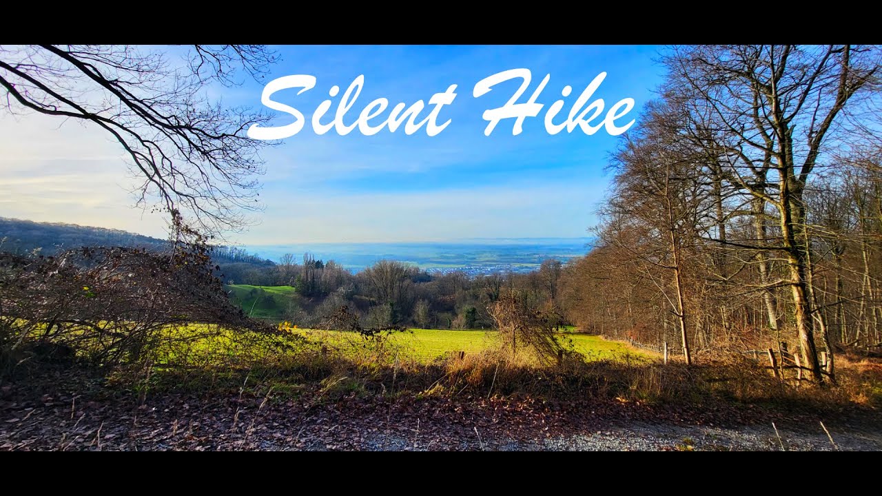 Silent Hike im Odenwald mit atemberaubenden Aussichten