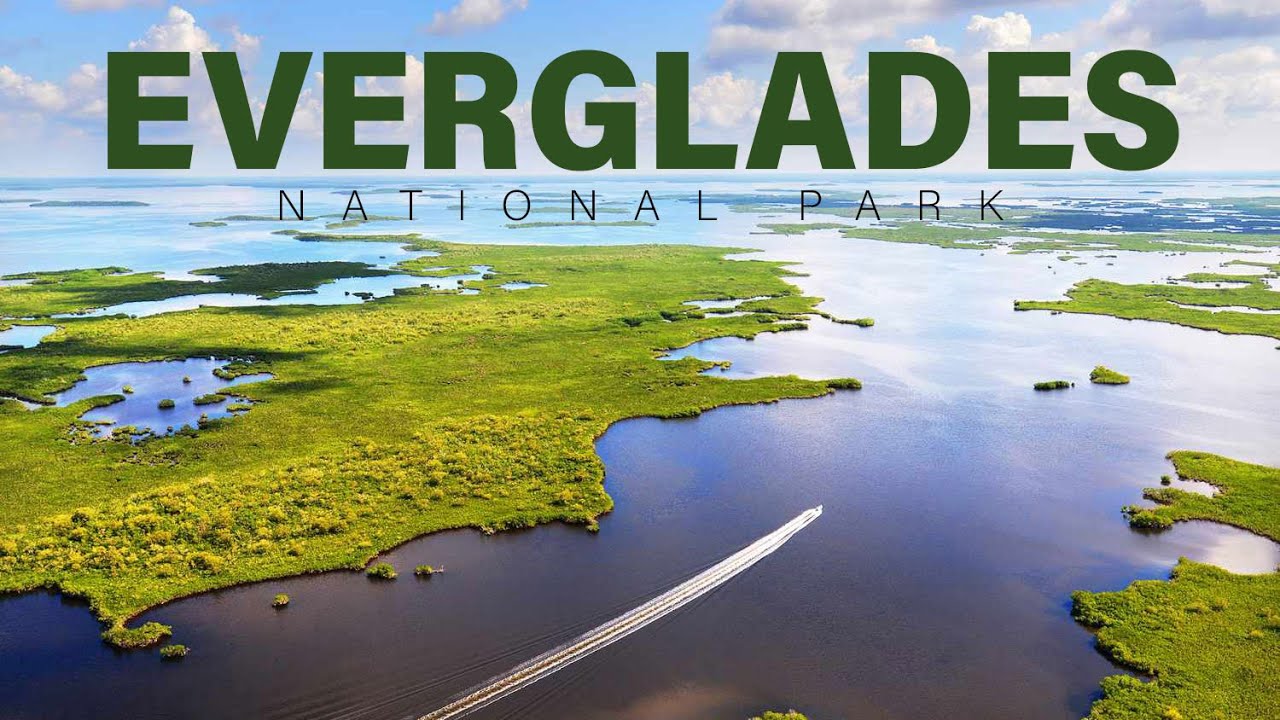 Top 10 Things To Do In Everglades National Park, Florida || Live