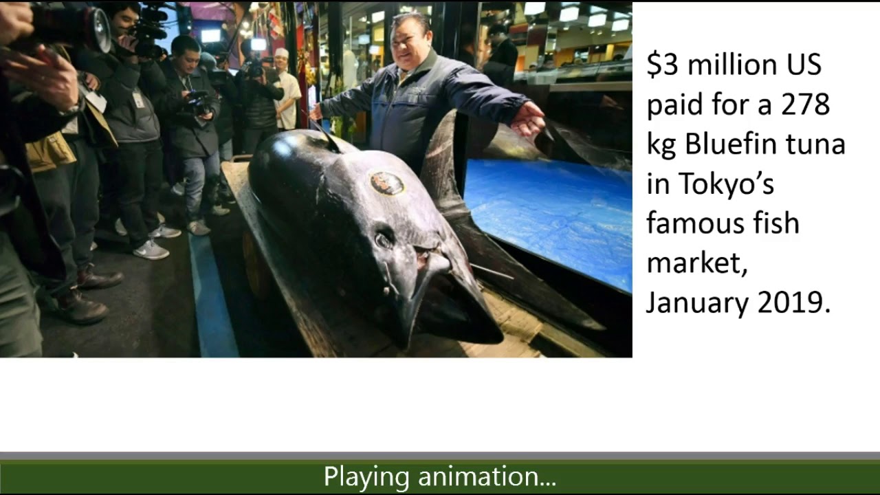 Common Value Auctions