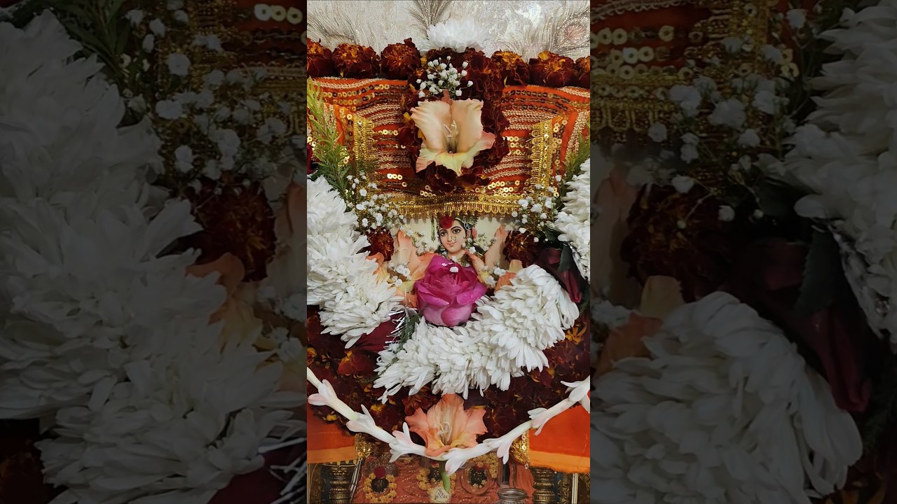 मां श्री लक्ष्मी की जय 🙏🪷 