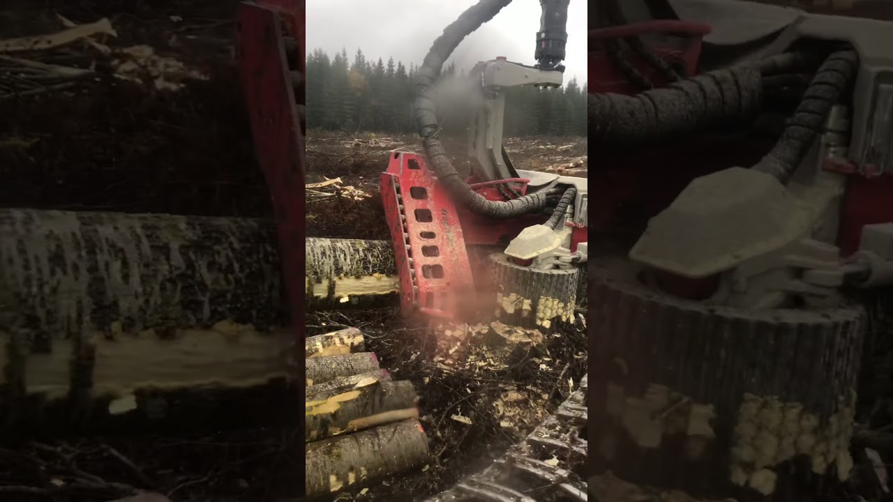 Komatsu 951 logmax 7000C 1,70 m3 i medelstam