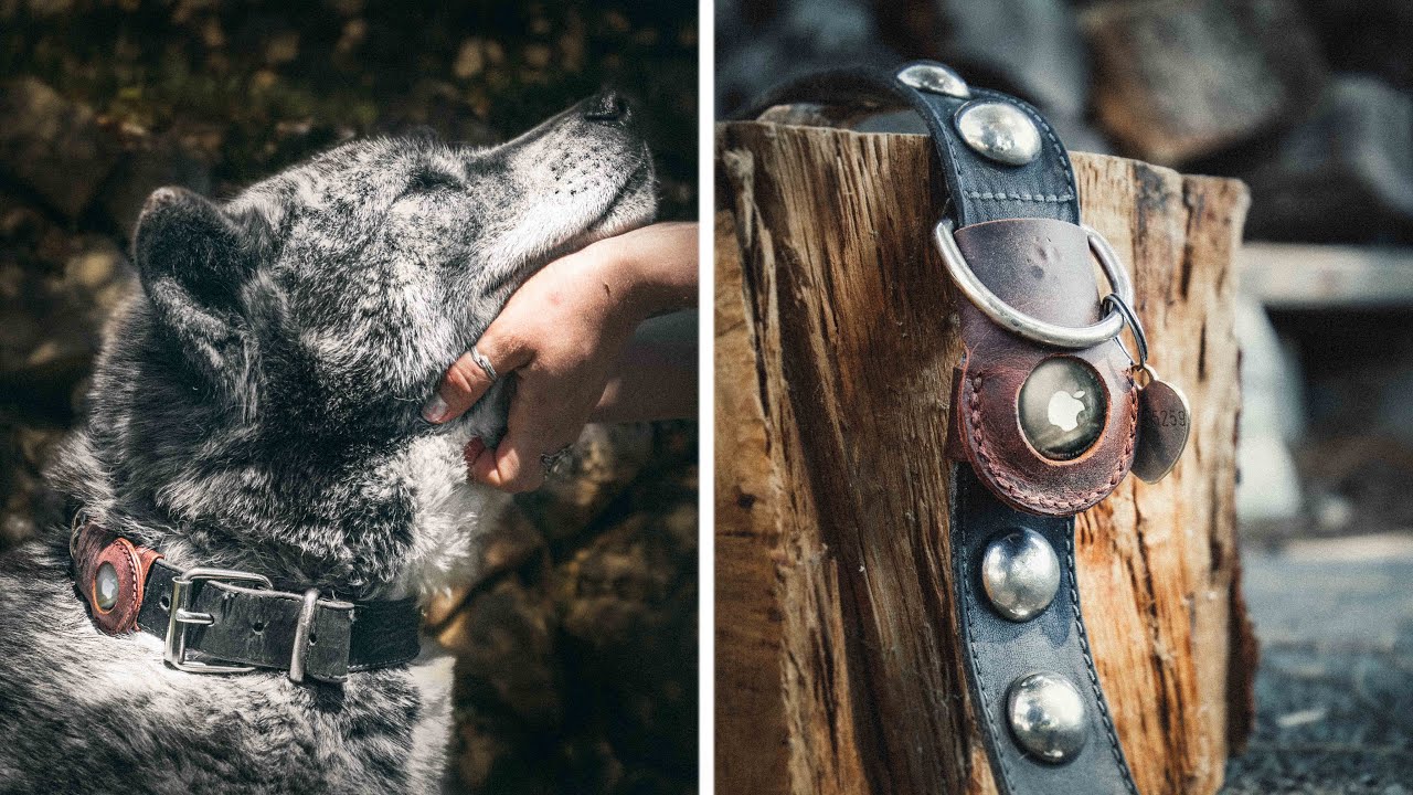 Apple AirTag Pet Collar! | Beginner Leather Tutorial