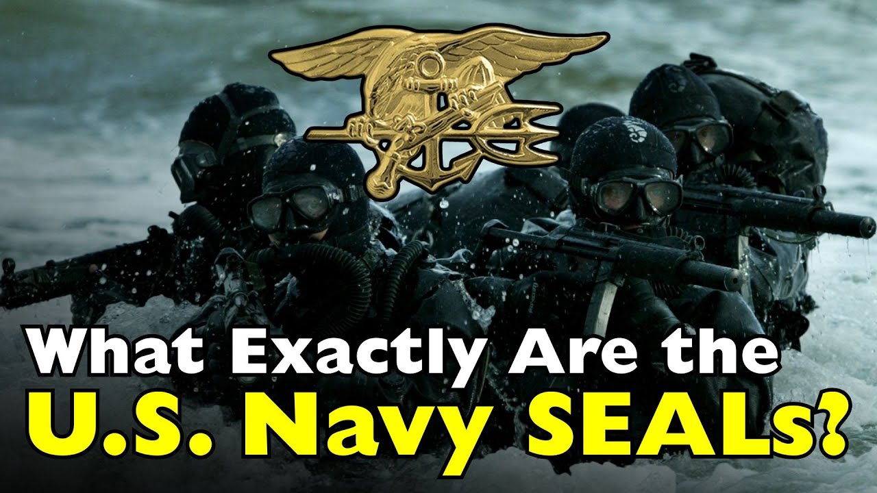 What Exactly Are the U.S. Navy SEALs, and How Are They Different From Other Forces? [ID0632]